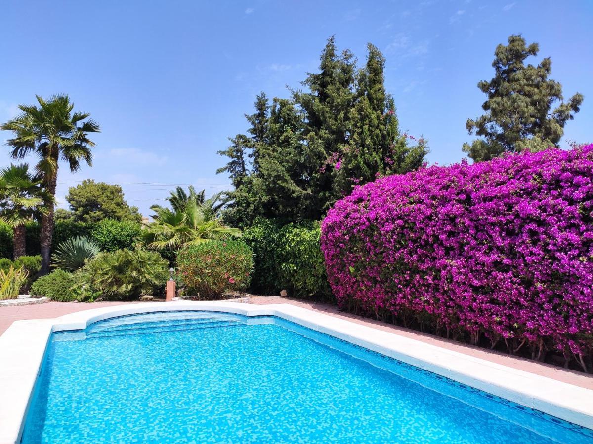 Villa With Private Pool, Bbq, Fitness Center & Sauna San Vicente Raspeig Exteriér fotografie