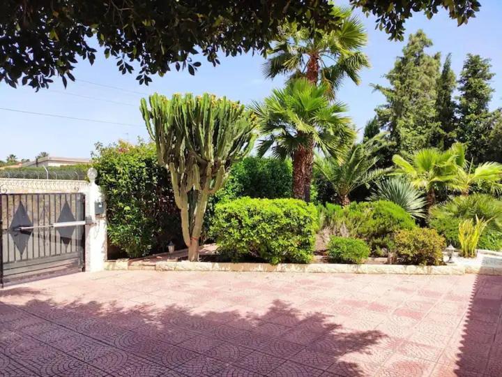 Villa With Private Pool, Bbq, Fitness Center & Sauna San Vicente Raspeig Exteriér fotografie